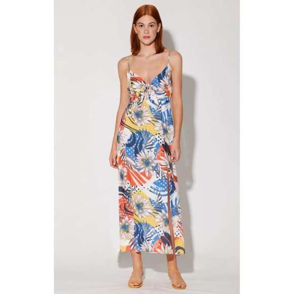 Walter Baker Dresses & Skirts - WALTER BAKER Natasha Maxi Dress 4 NEW